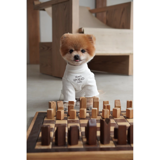 [Pawlovin] Nori Turtleneck - image 7