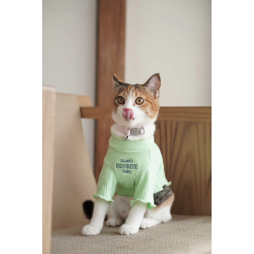 [Pawlovin] Nori Turtleneck - image 4