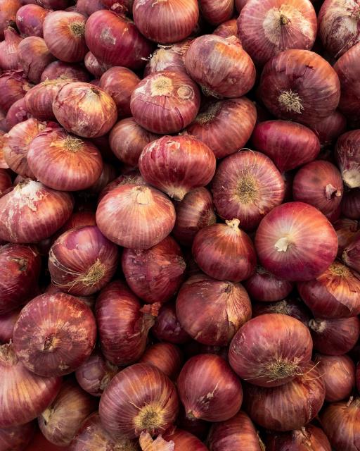Red Onion Paste - image 2