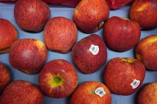 Envy Apples - image 2