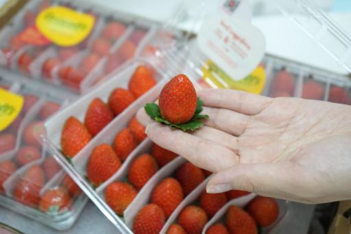Driscoll's Strawberry - image 3