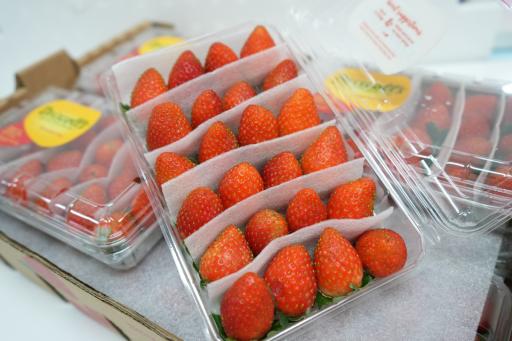 Driscoll's Strawberry - image 2