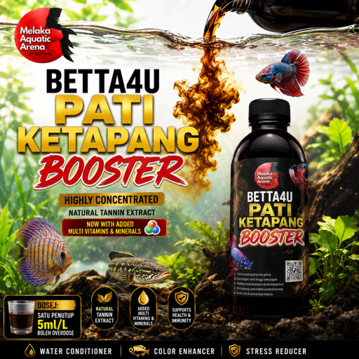 Pati Ketapang Booster 500ml - image 3