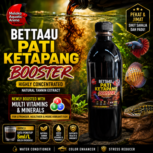 Pati Ketapang Booster 500ml - image 4
