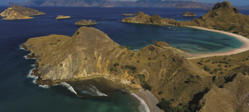 8D7N Komodo LOB on Aruna Odyssey - image 2