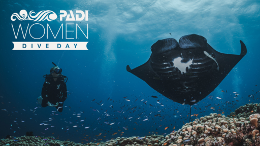 21 November 2026 Ocean Conservation - image 3