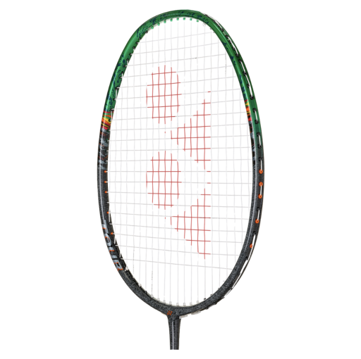Astrox 99 Tour - image 2