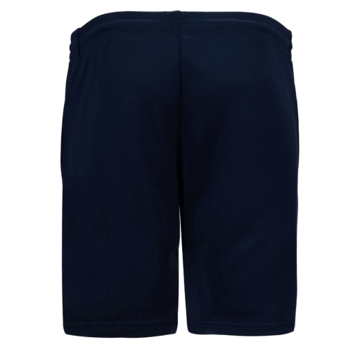 Phantom Knit Shorts - (AAPV043) - image 4