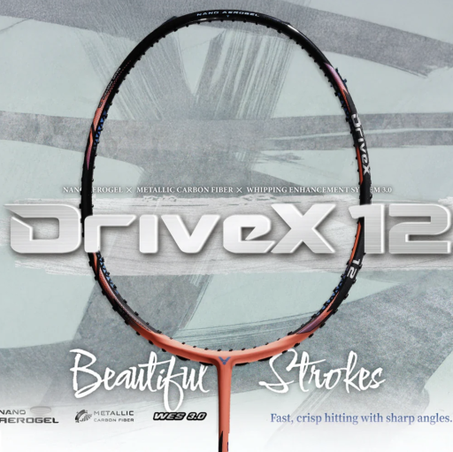 DriveX 12 - image 2