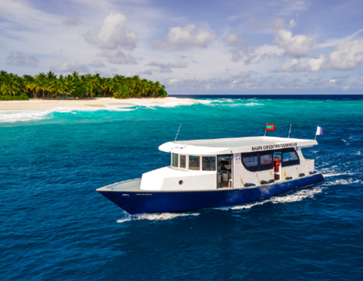 5D4N Dive with Tiger Sharks - Fuvahmulah, Maldives - image 4