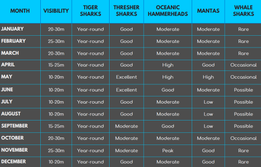 5D4N Dive with Tiger Sharks - Fuvahmulah, Maldives - image 3