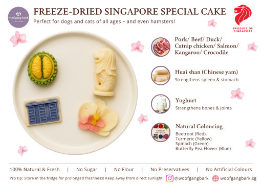 [Pre-Order] Freeze Dried Singapore Special Cake - image 2