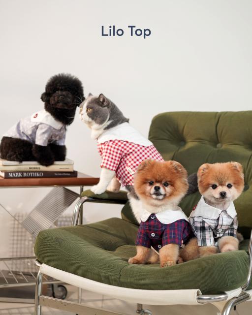 [Pawlovin] Lilo Top - image 2