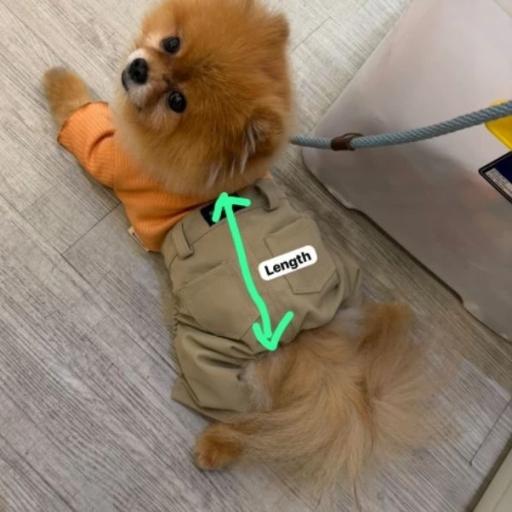 [Pawlovin] Margo Pants - image 8