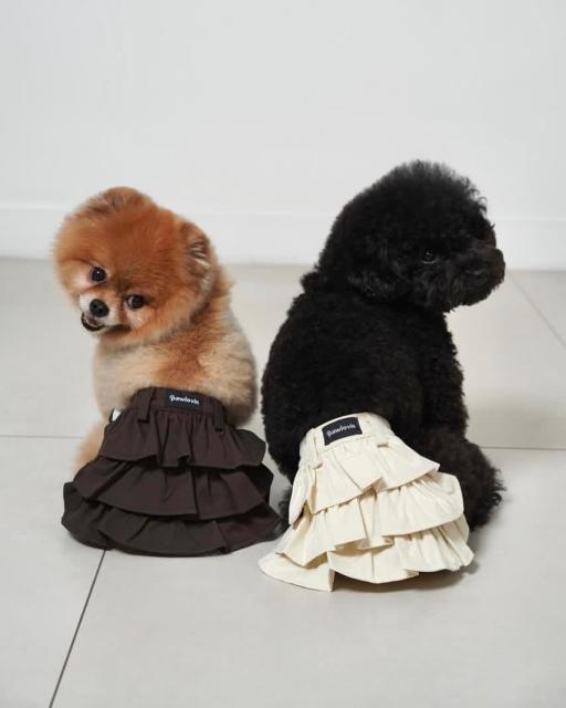 [Pawlovin] Lumi Skirt - image 5