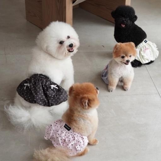 [Pawlovin] Miu Balloon Skirt - image 3