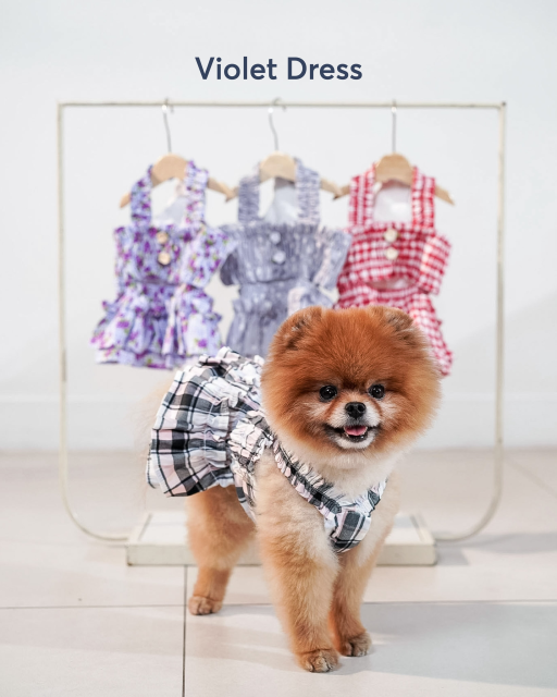 [Pawlovin] Violet Dress - image 2