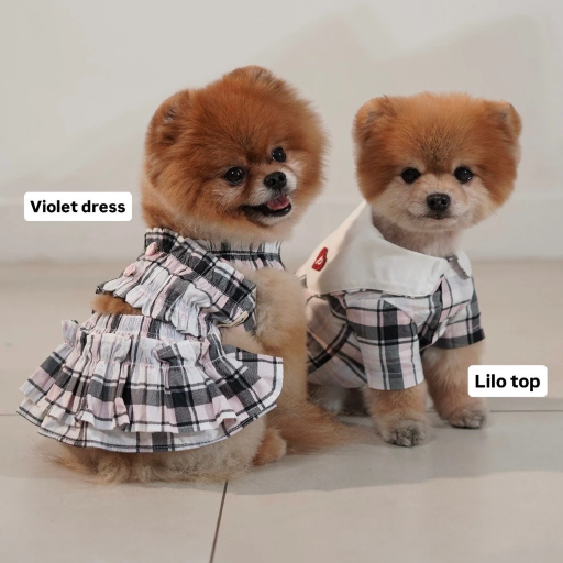 [Pawlovin] Lilo Top - image 9
