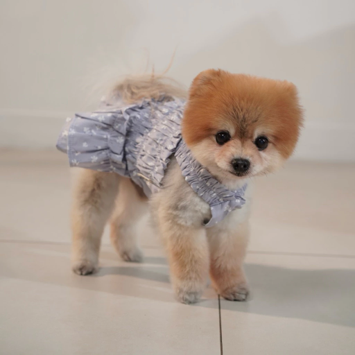 [Pawlovin] Violet Dress - image 5