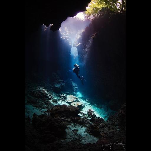 UNDERSTANDING LIGHT with AARON WONG - image 2