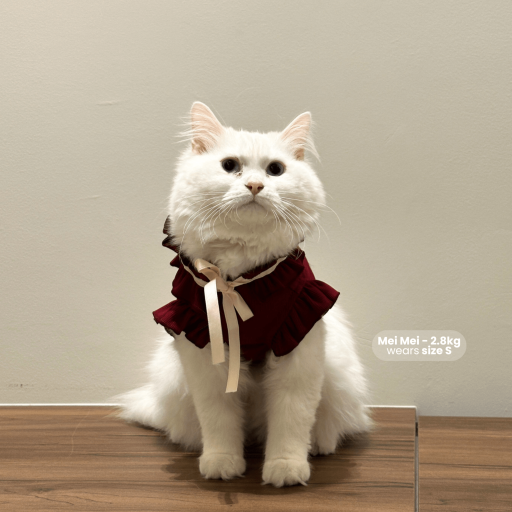 [Pawlovin] Yuna Top - image 2