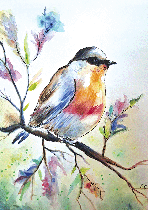 Songbird | Justin Foo