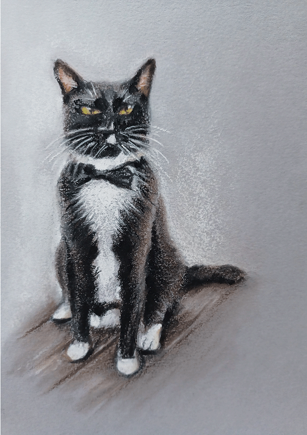 The Tuxedo Cat | Jill Puah
