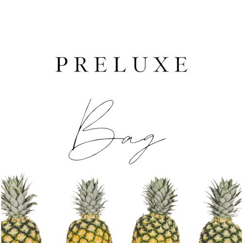 PRELUXEBAG logo