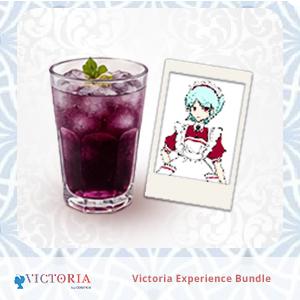 Victoria Experience Bundle