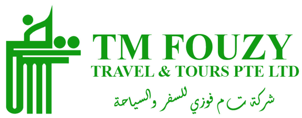 TMFouzy Services logo