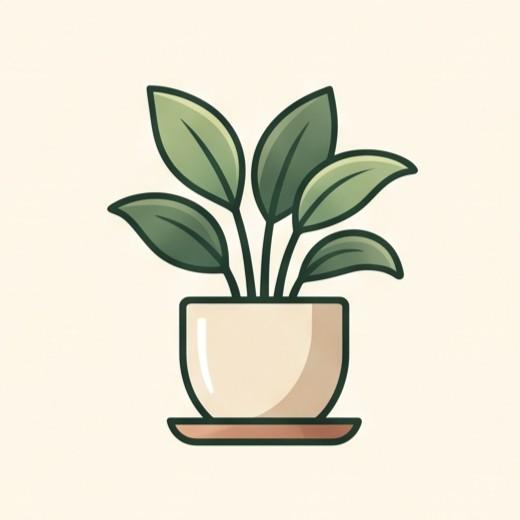 indoor plants