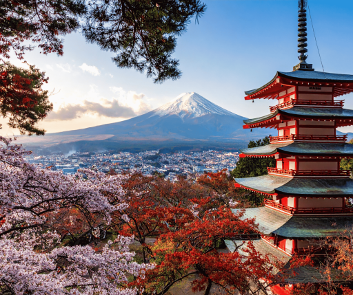 4D/3N Tokyo Starter Package with City Tour and Mt. Fuji Excursion - image 1