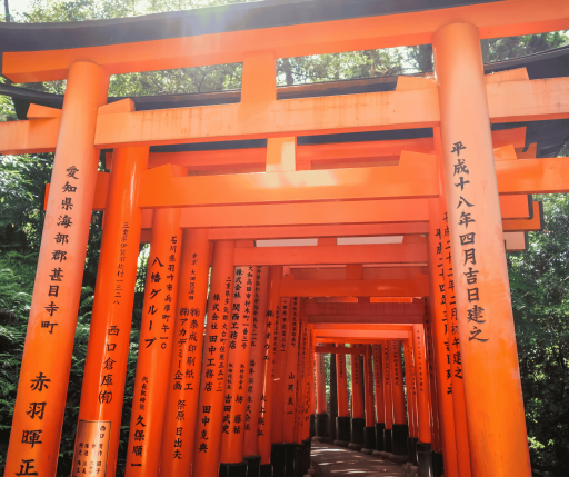 Osaka Heritage Discovery: Mt. Koya, Kyoto & Nara Tours 4D3N - image 3