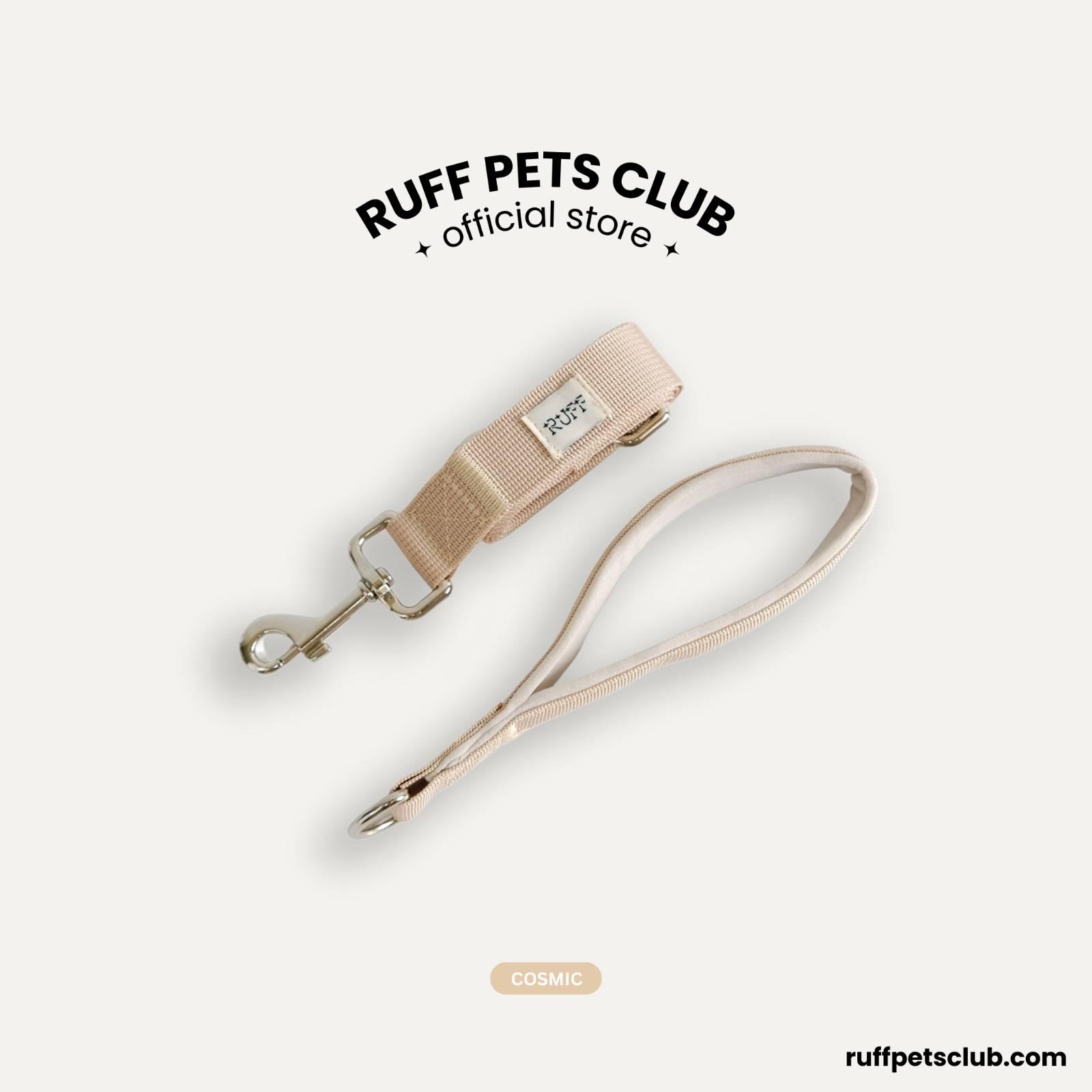 Basic Leash with Handle