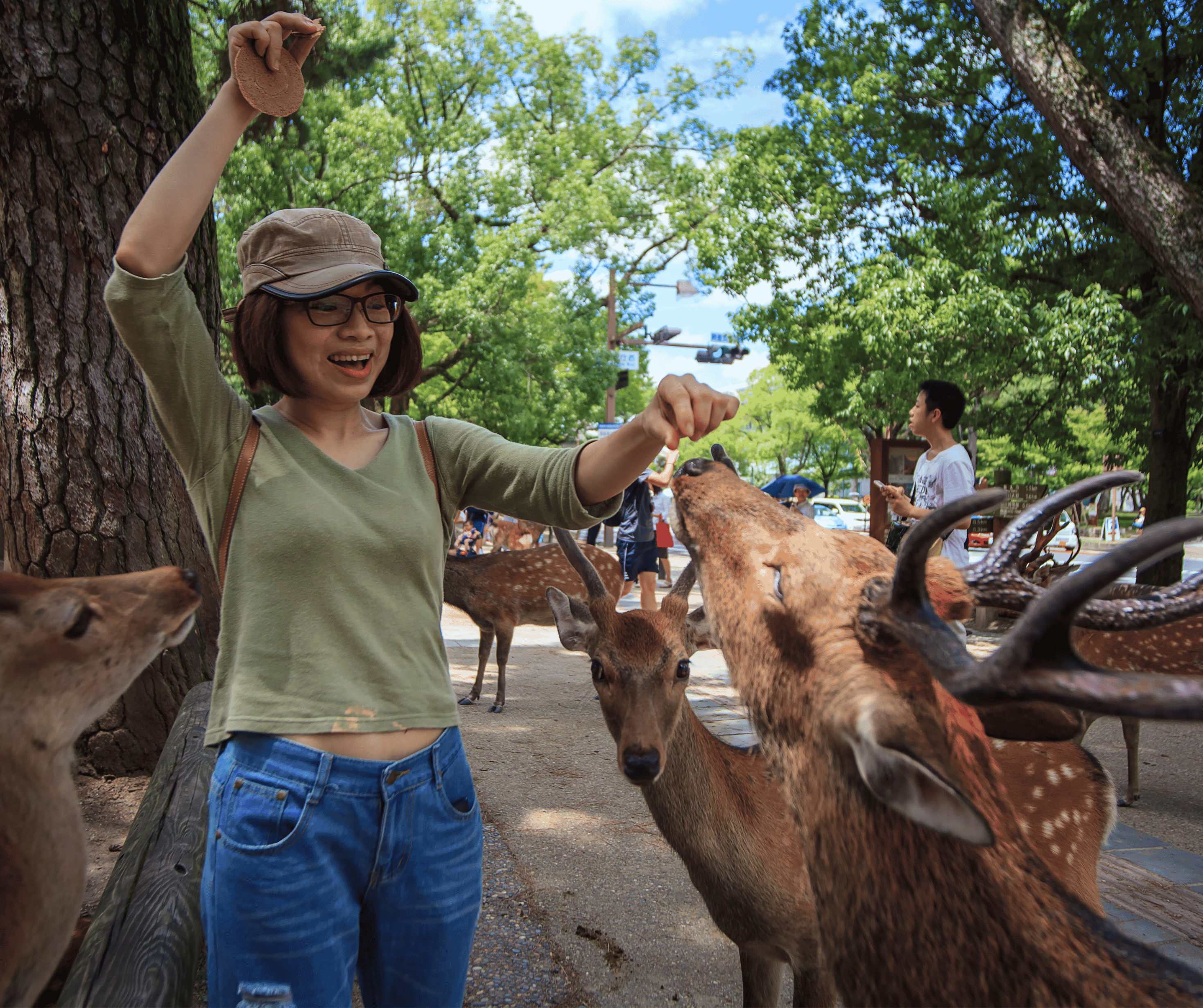 Osaka to Sacred Peaks: Mt. Koya, Kyoto & Nara Tours