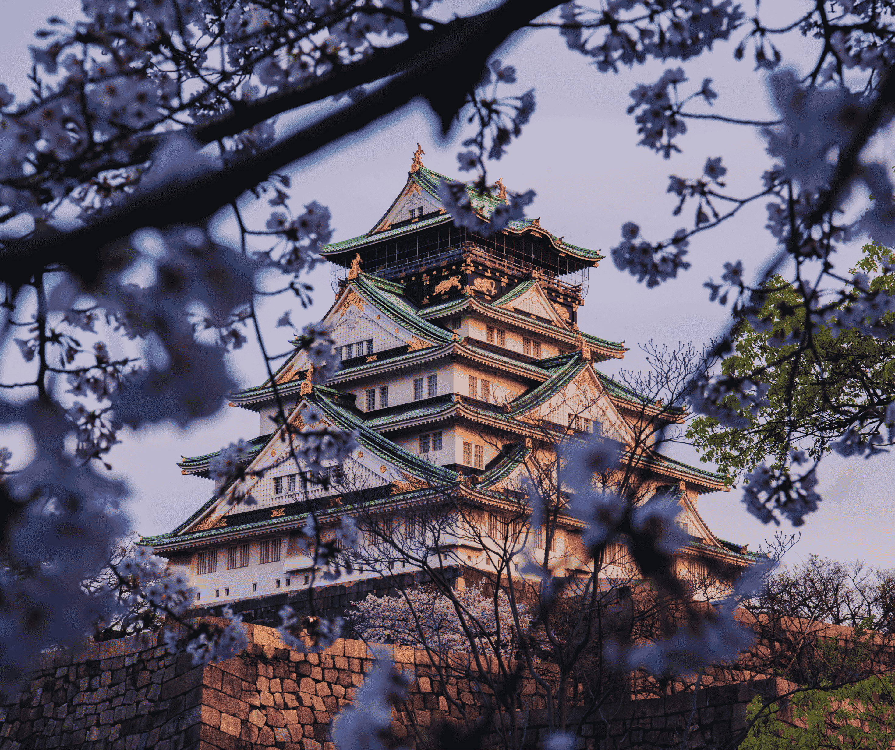 Osaka Heritage Discovery: Mt. Koya, Kyoto & Nara Tours 4D3N
