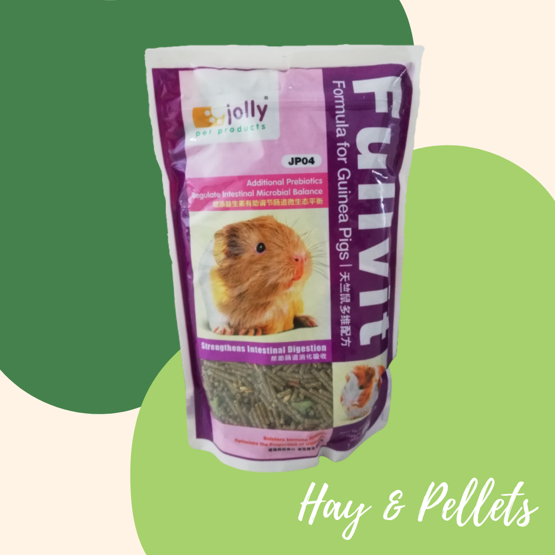 Jolly Guinea Pig 1kg