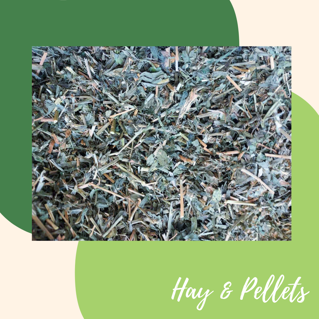 Canowindra Chaffed Alfalfa Hay Dust Reduced