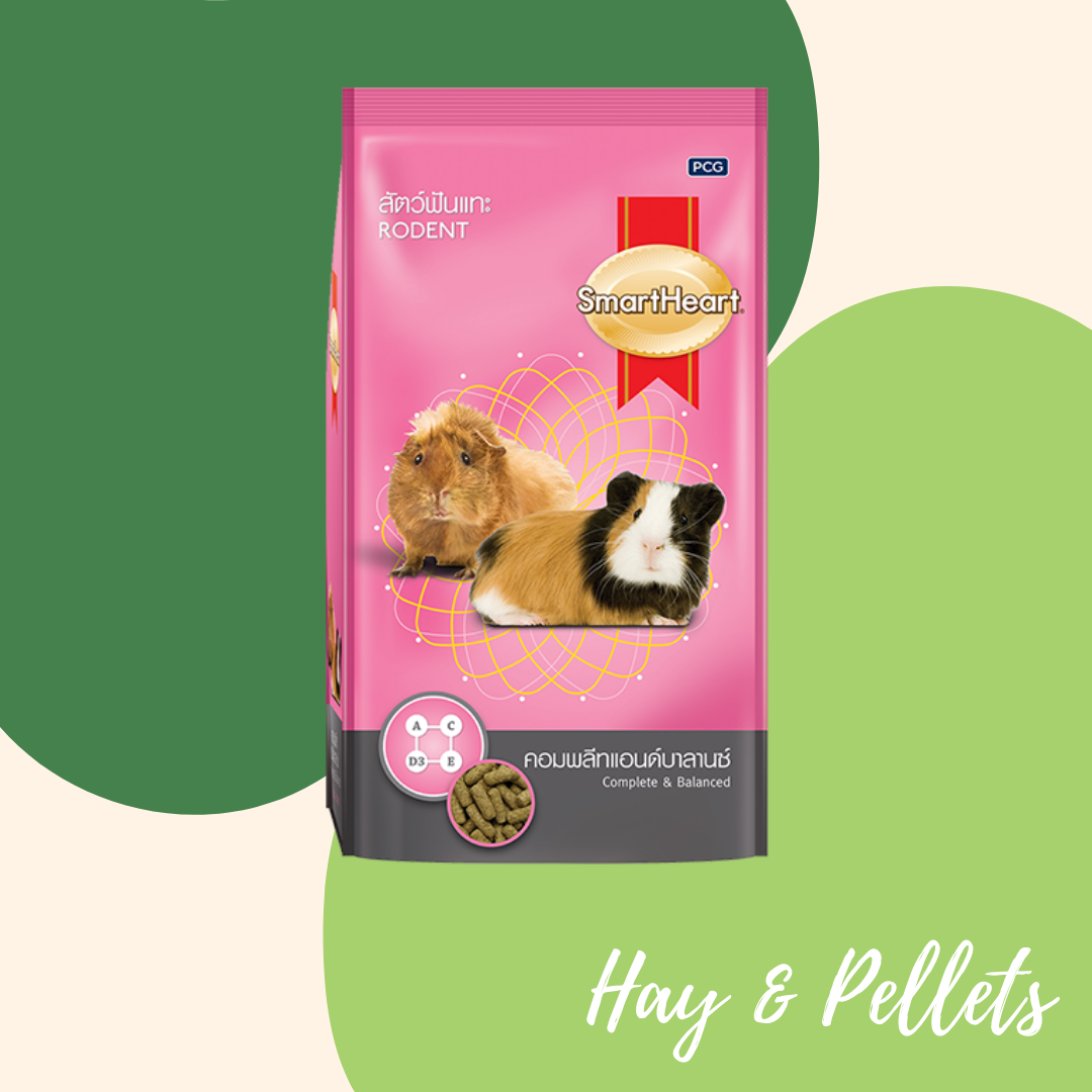 Smart Heart Rodent Pellets Complete & Balanced