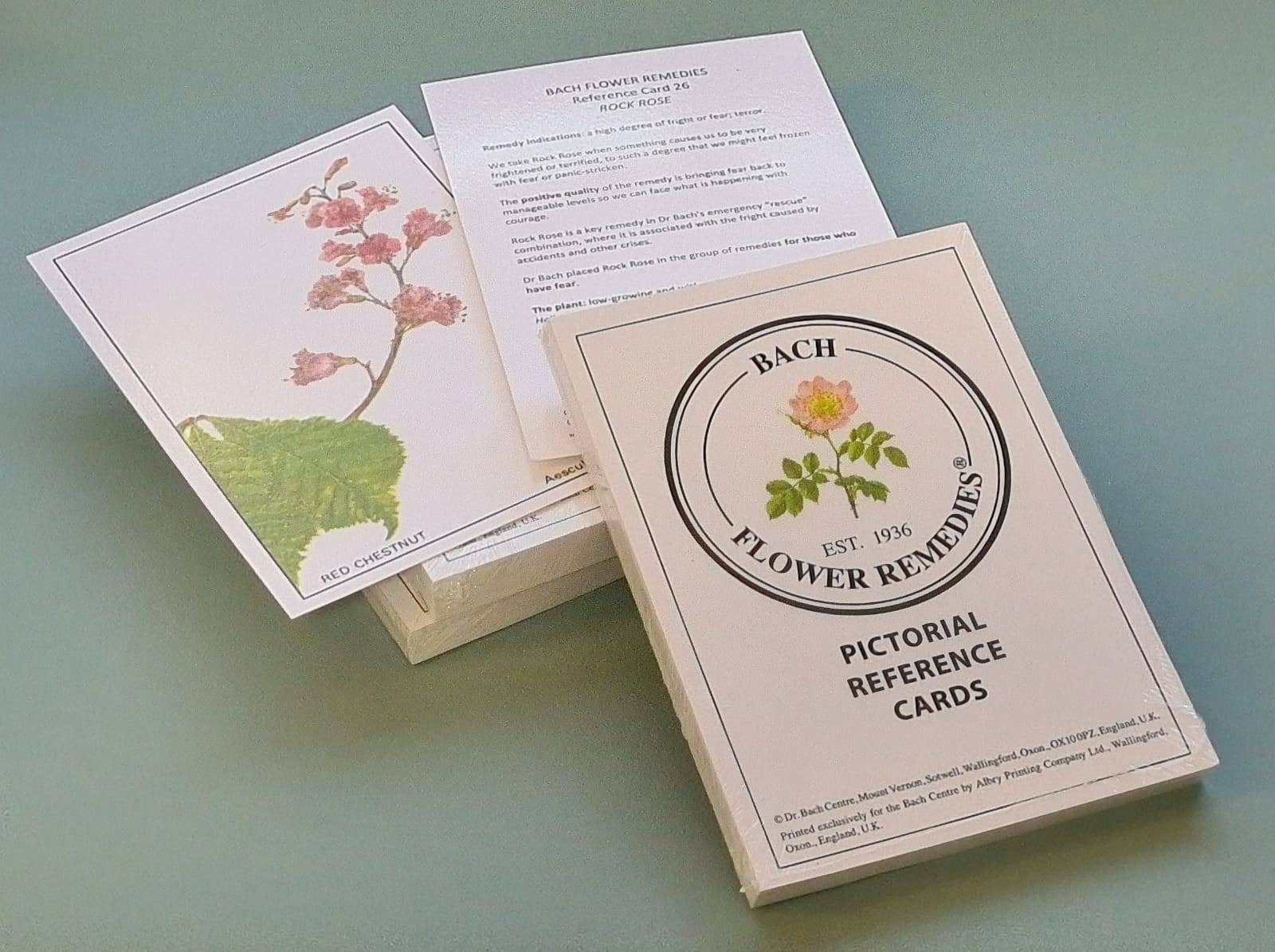 Bach Pictorial Reference Cards