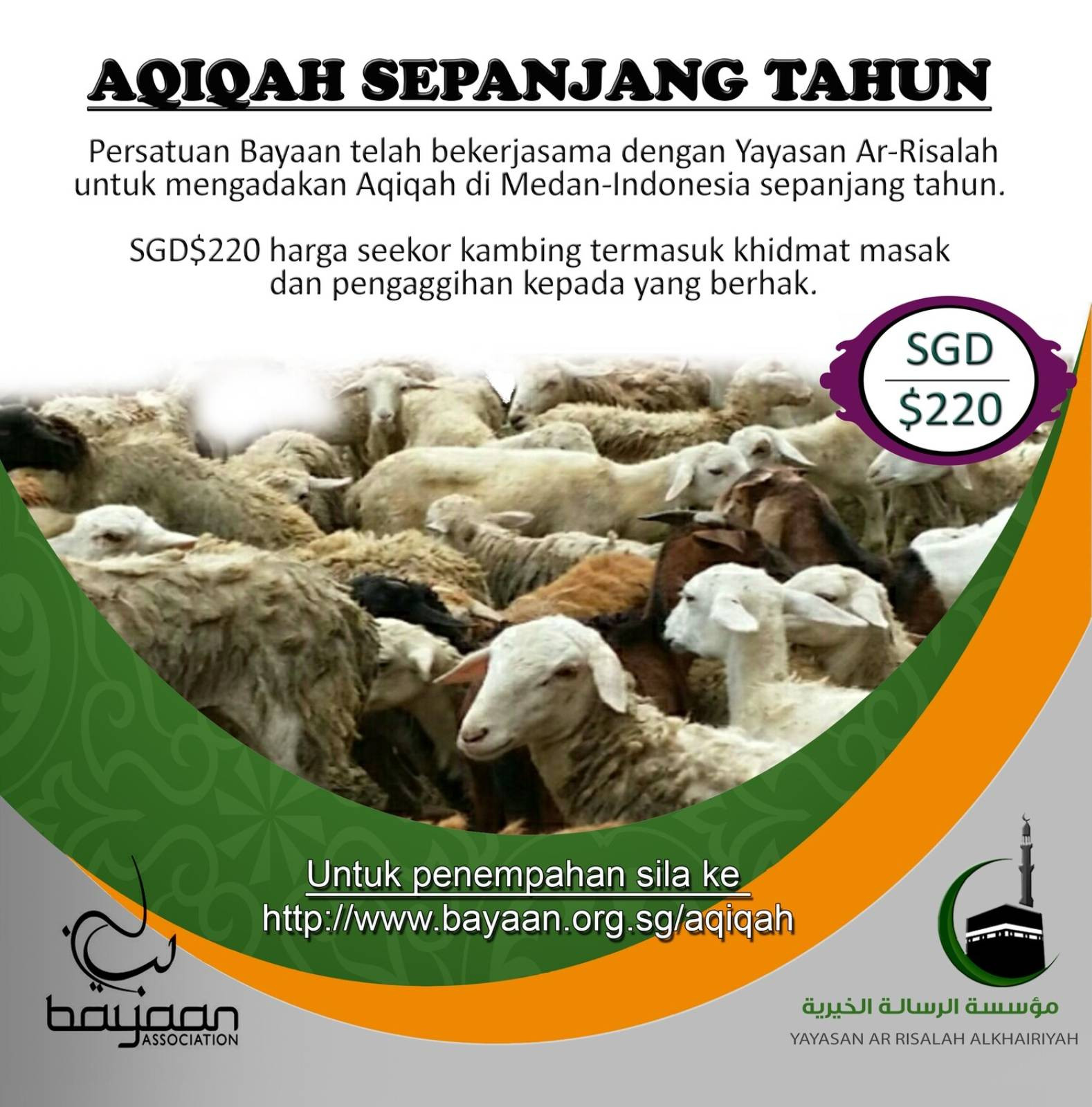 Medan Goat for Aqiqah (all year round)