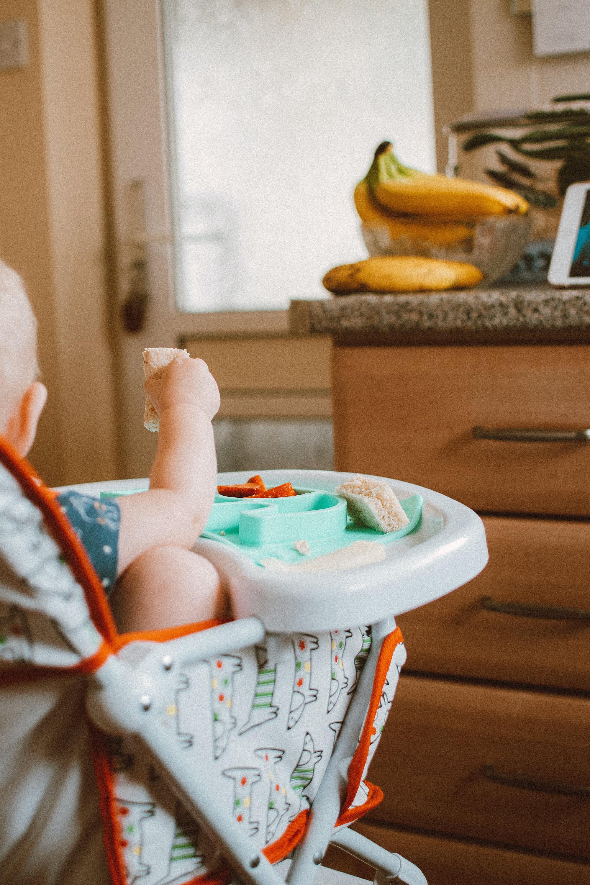 Starting Solids 101 Webinar (recording)