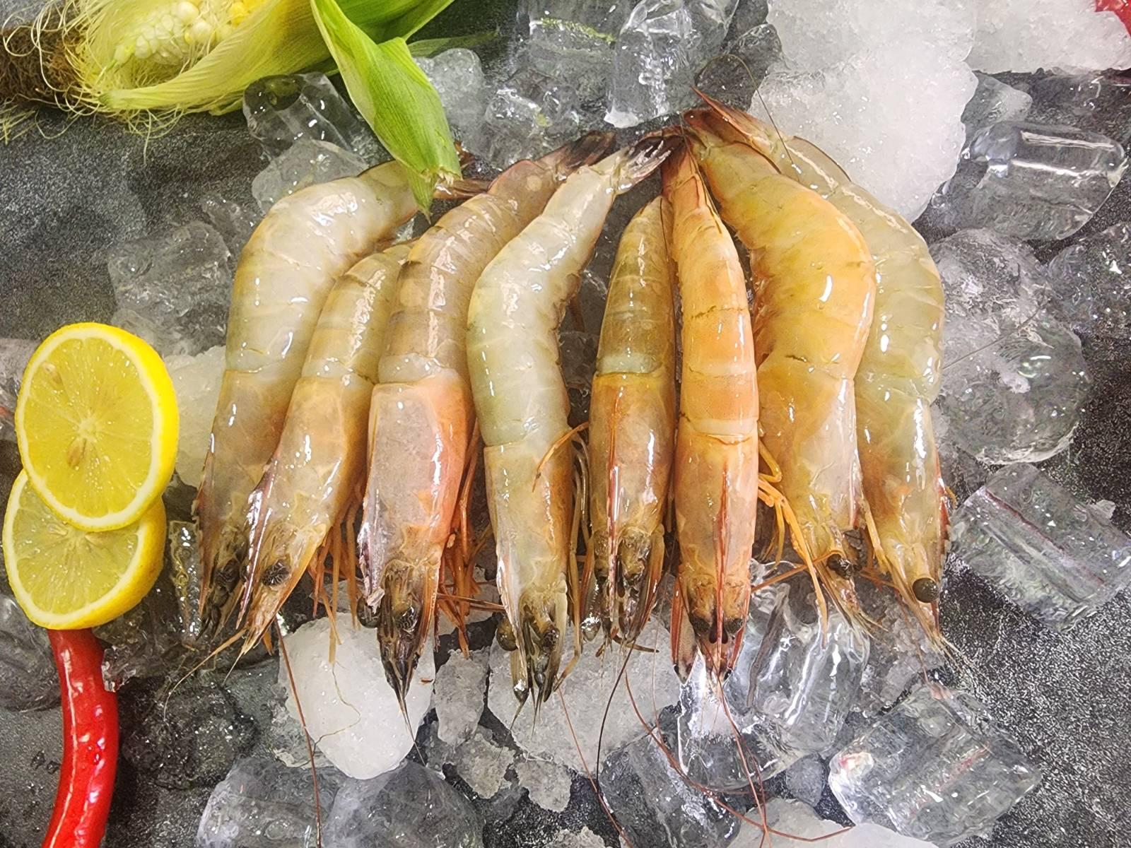 Wild ang kar / sea white prawns (野生红脚虾)