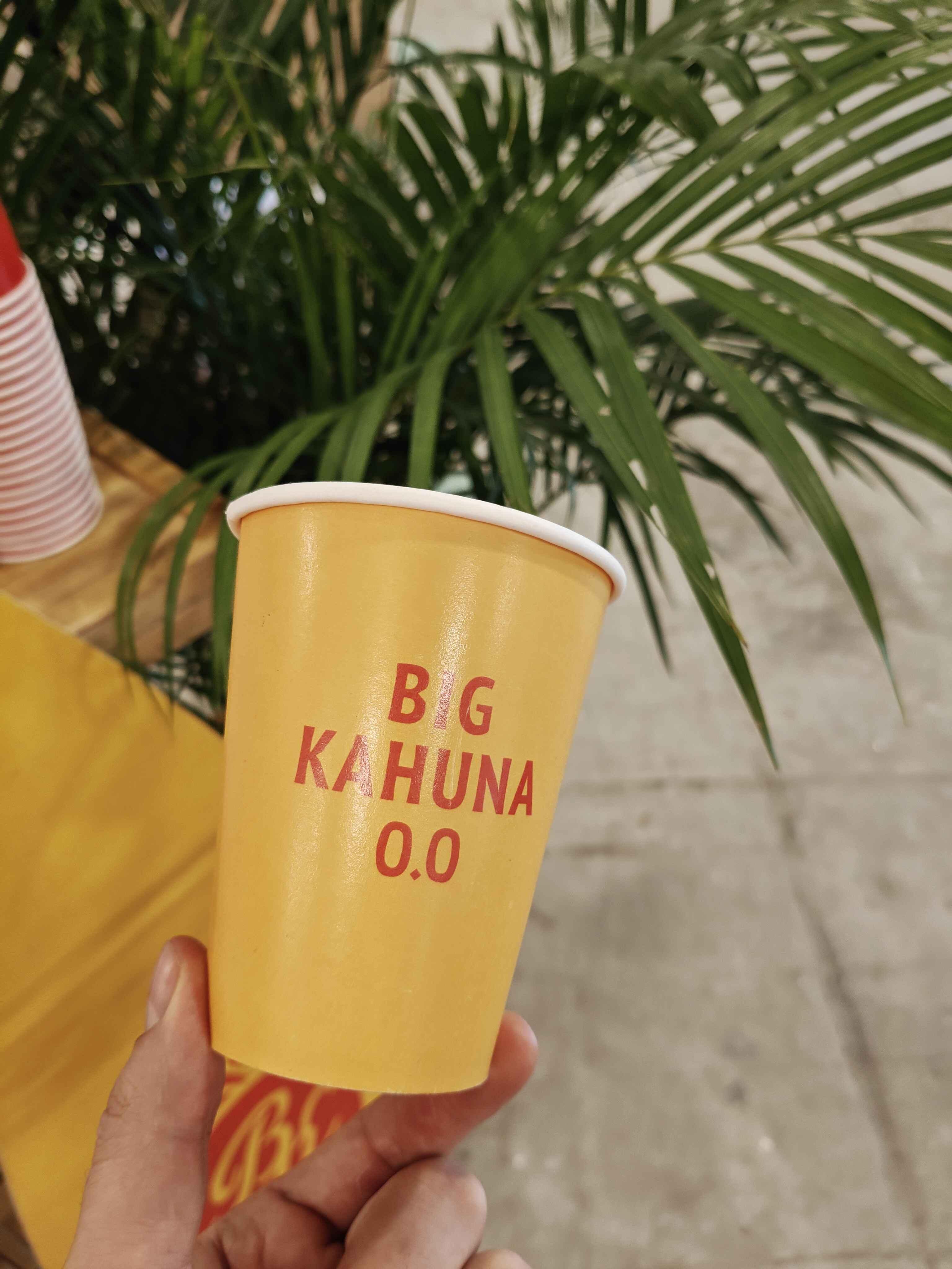 Big Kahuna 0.0 & Tonic