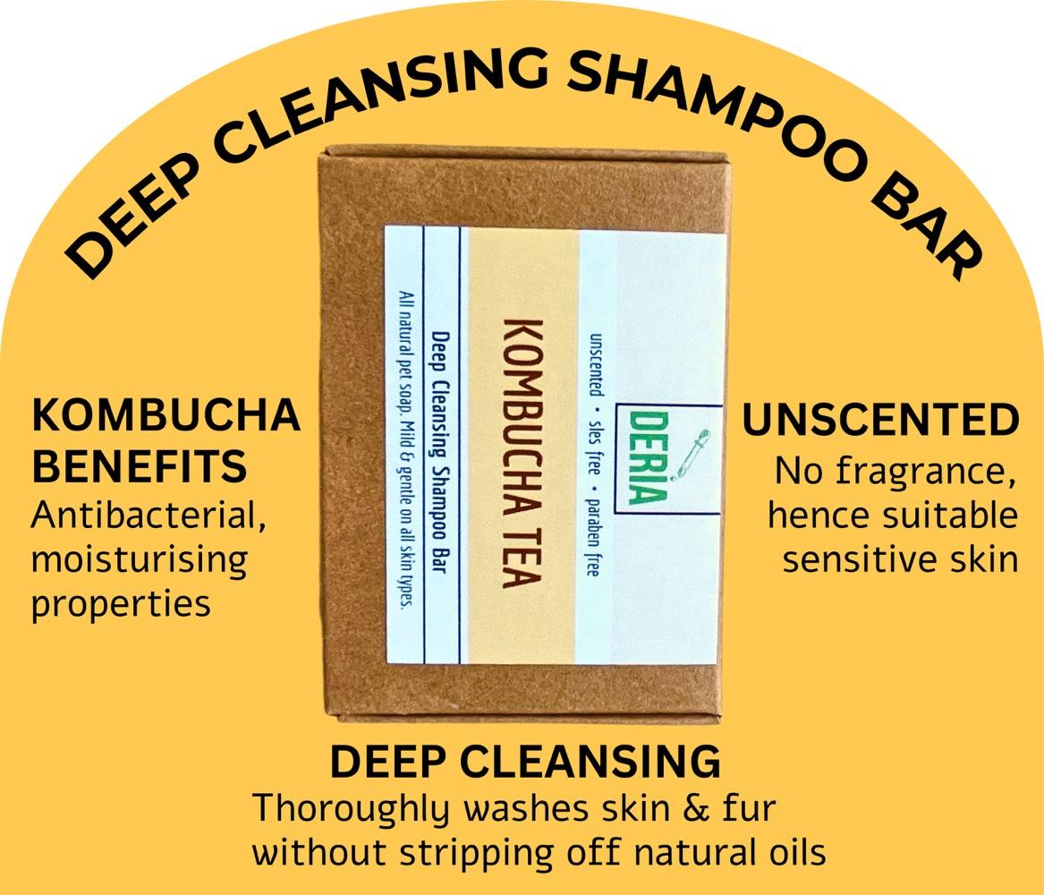 Kombucha Shampoo Bar 85g