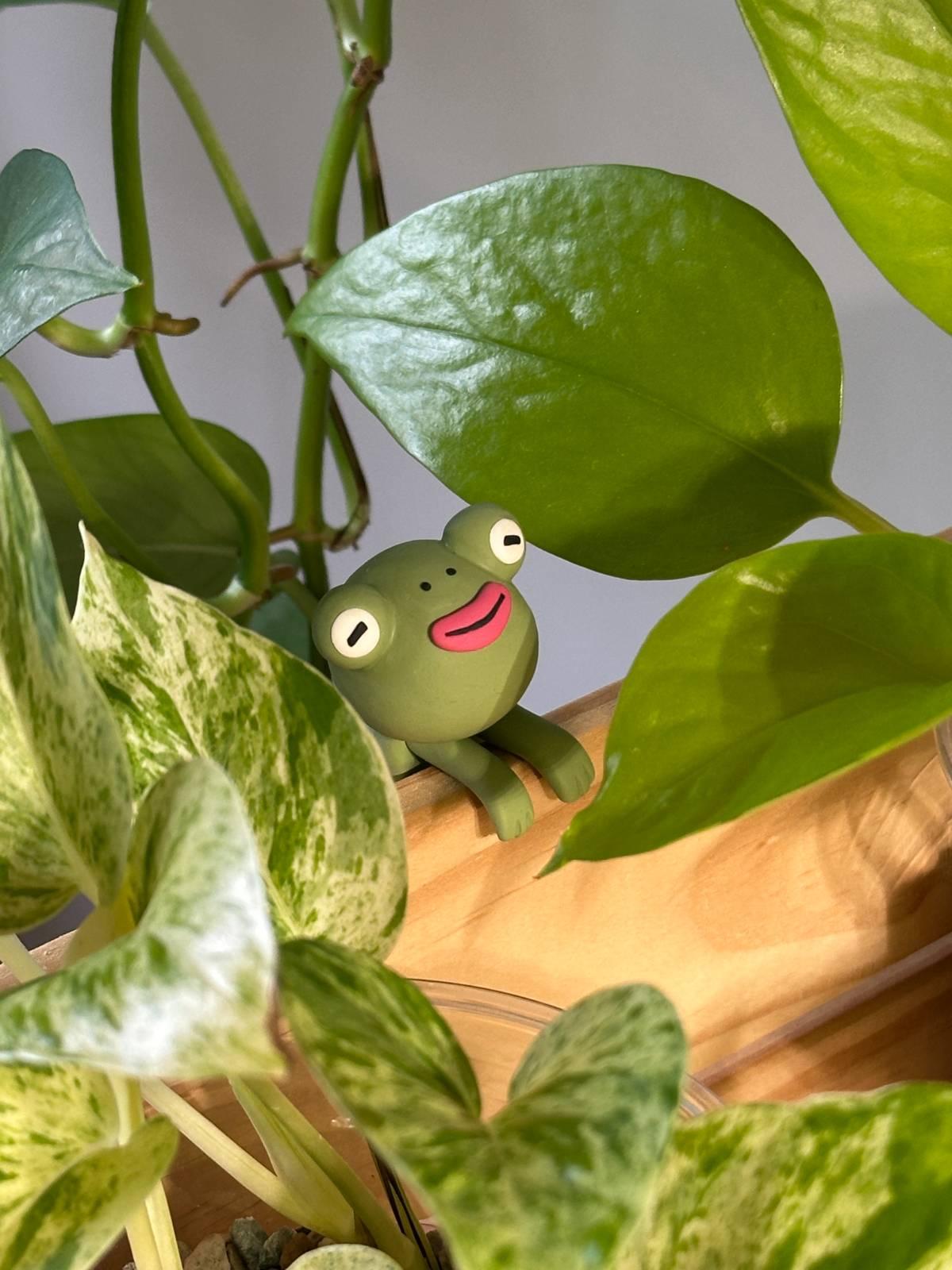 Zen Froggo