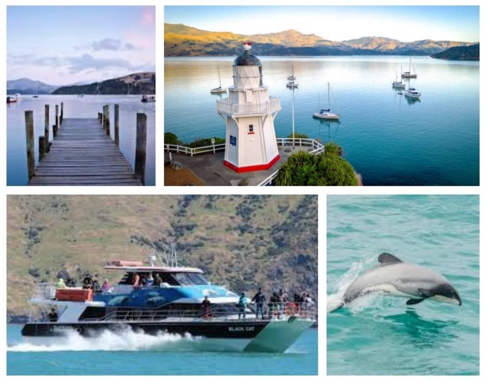Akaroa Dolphins & Nature Cruise Tour