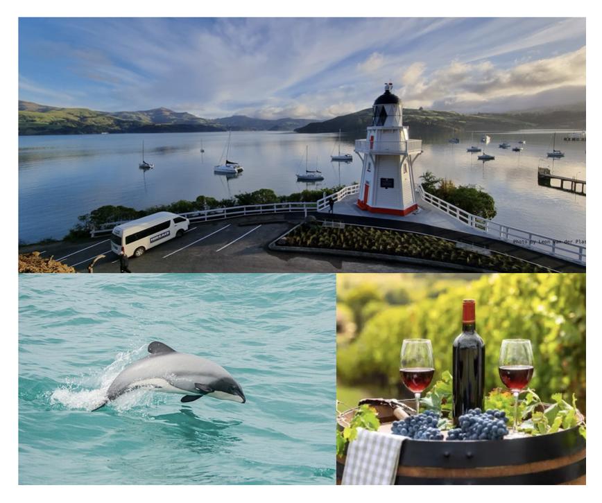Akaroa Nature Cruise & (Optional) Wine Tastings