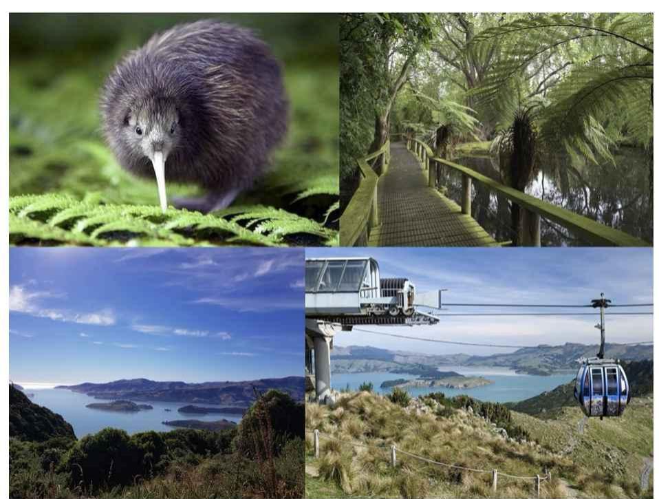 Willowbank Wildlife Park & CHC Gondola (Cable Car)