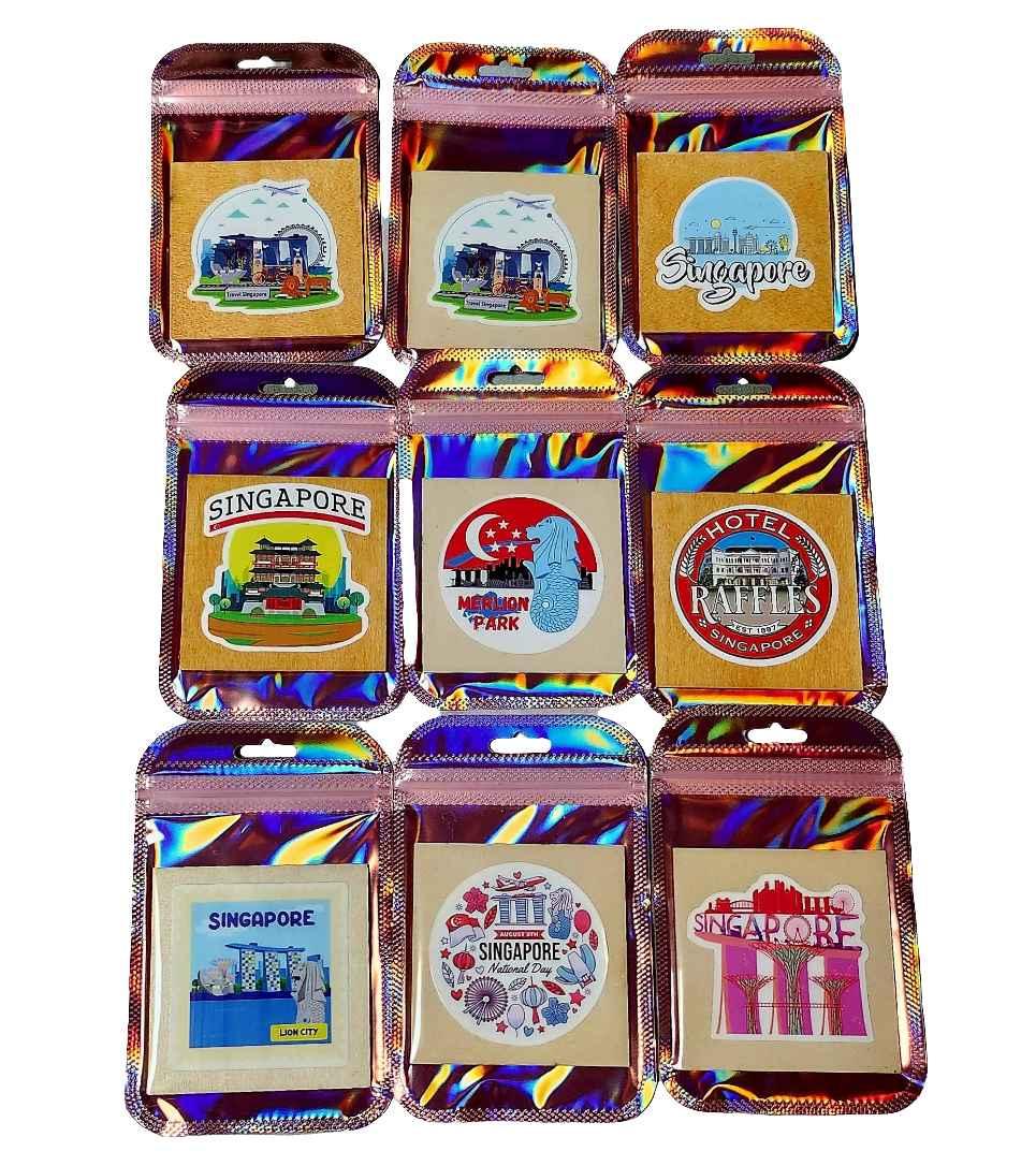 (Medium Square/Rectangle) Singapore Wooden Magnets